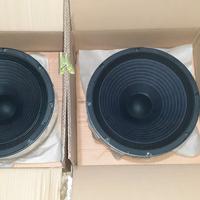 COPPIA WOOFER CIARE PW320