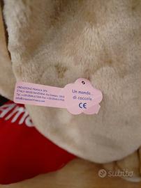  cane sambernardo 