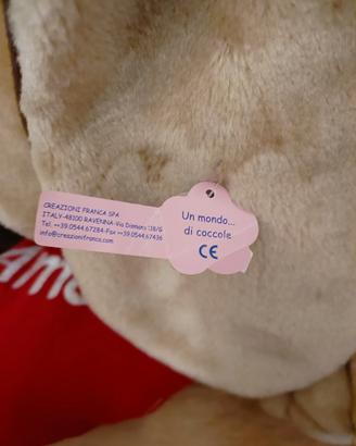 cane sambernardo 