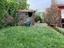 Immagine 19