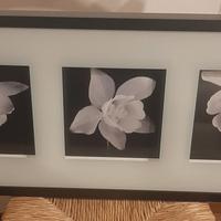 Quadro per casa o studio