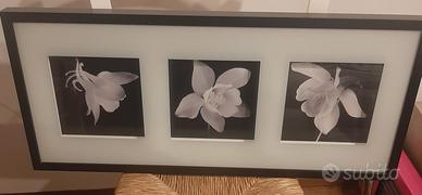 Quadro per casa o studio