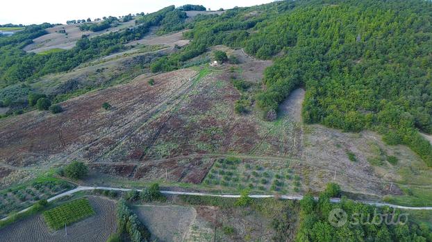 Terreno di 15 ettari su strada + rudere