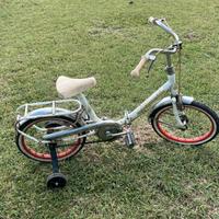 Bicicletta da bambina con ruote da 16 Pollici