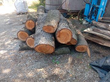 Legno di cedro 4 metri per assi o legna da ardere