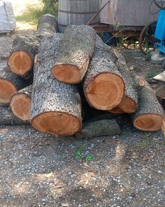 Legno di cedro 4 metri per assi o legna da ardere