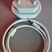 caricatore 20W compatibile iPhone/Samsung