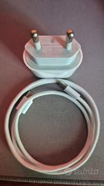 caricatore 20W compatibile iPhone/Samsung