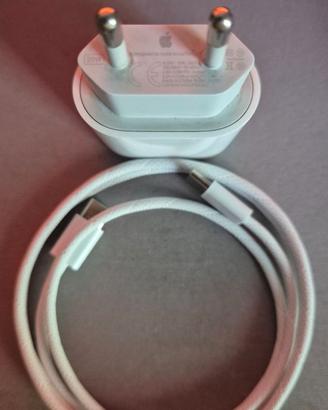 caricatore 20W compatibile iPhone/Samsung