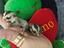 Immagine 1