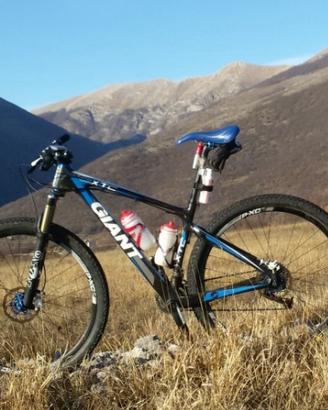 Giant xtc 29 M