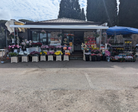 Negozio fiori