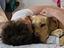 Immagine 5
