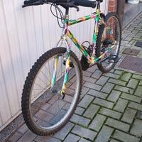 bici 26 pollici 18 marce 