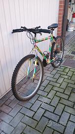 bici 26 pollici 18 marce 