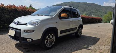 Fiat Panda Antartica 4x4
