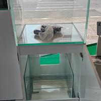 Nuovo acquario marino cubico extrachiaro