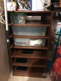 Rack rettili pitoni reali