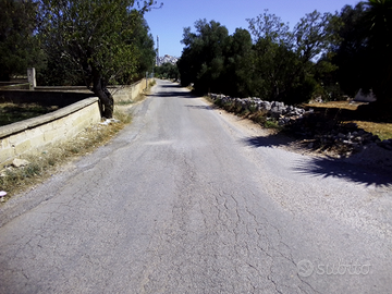 Terreno agricolo a 500 m dal centro abitato
