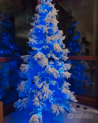 Albero di natale
