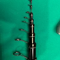 Bolognese DAIWA TOURNAMENT EVO 6 e 7 mt