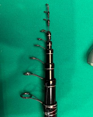 Bolognese DAIWA TOURNAMENT EVO 6 e 7 mt