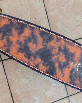 GLOBE Pintail 44" Out/Post - Longboard Skatebboard