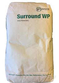 Caolino polvere di roccia