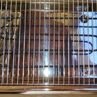 Bistecchiera elettrica