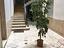 Immagine 18