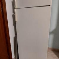 FRIGOR HIRUNDO CON CONGELATORE 