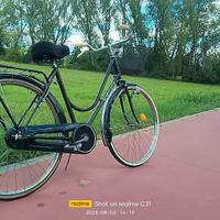 bicicletta da 26 freni a bacchetta 