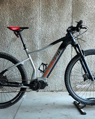 Olympia Performer 29"