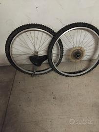 Coppia cerchioni bici