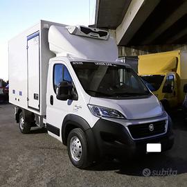 NEW FIAT DUCATO 2.3 150CV FRIGORIFERO FRCX 2017 EU