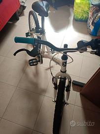 bicicletta per bambino b-rwin 100