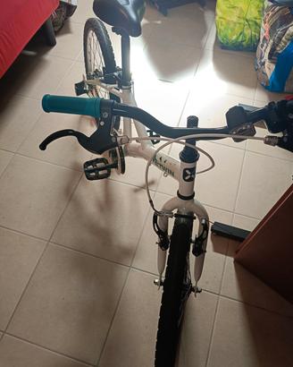 bicicletta per bambino b-rwin 100