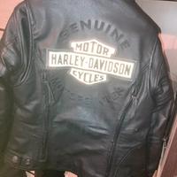 Giubboto Harley Davidson