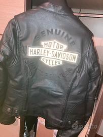 Giubboto Harley Davidson