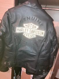 Giubboto Harley Davidson