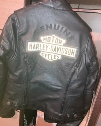 Giubboto Harley Davidson