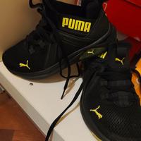 Scarpe puma