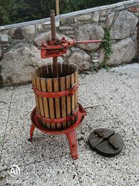 torchio