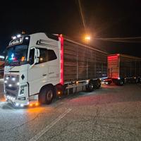 Motrice Volvo fh16 650 trasporto avicoli