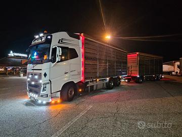 Motrice Volvo fh16 650 trasporto avicoli