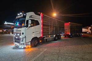 Motrice Volvo fh16 650 trasporto avicoli
