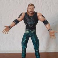 Diamond Dallas Page 1999 Wrestling WWE