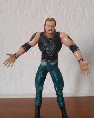 Diamond Dallas Page 1999 Wrestling WWE