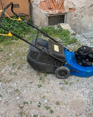 Taglierba della raser motore brig e stratton 150cc