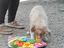 Immagine 1